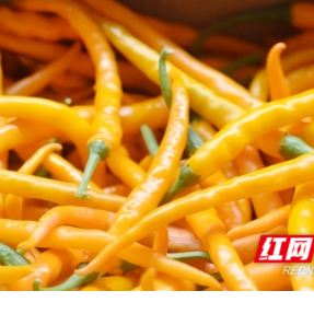 衡阳再添六项“国字号”农产品