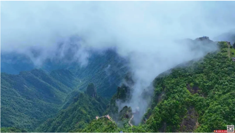 5A创建进行时 | 云雾漫莽山 秋景美如画