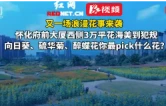 双节同庆·福游怀化丨又一浪漫花事来袭，怀化府前大厦西侧3万平花海正鲜妍——