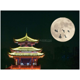 品读丨月亮之上