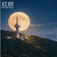 湘见万年丨博物馆里的中秋夜