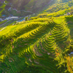 秋日湖南怎么玩丨全球最长高山索道“开进”长沙地铁 邀你金秋赴云端之约