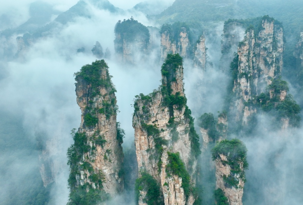 中秋看云海还得张家界 百龙天梯穿行峰林间美成水墨画