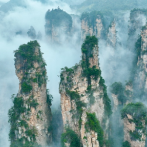 中秋看云海还得张家界 百龙天梯穿行峰林间美成水墨画