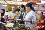 2026农博会｜ 小摊位不“小” 天南地北好物多