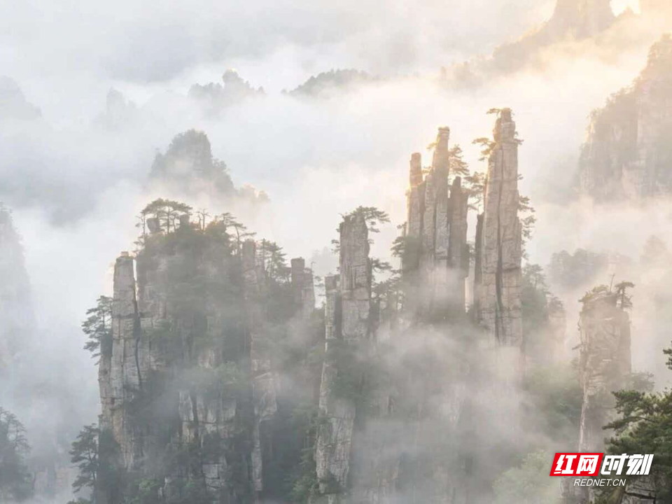 微信图片_20260927180257_580_4.jpg