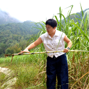 慈利县长潭河村:废弃石料场修复后长出“甜蜜”产业