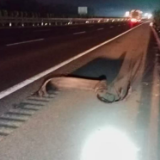 中秋守路人 深夜除险情——湘阴东管理所高效处置路面障碍物致多车受损事件