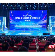 智赋万企,技创未来!湖南省第九届职工职业技能大赛决赛开幕