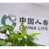 中国人寿推出“国寿康医保易享”互联网专属医疗保险