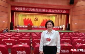 党代表之声｜谢丽：加快打通双江路、联新路断头路