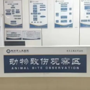 株洲市人民医院真实案例警示:家犬也不“绝对安全”,三级暴露就在身边