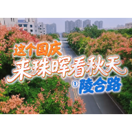 这个国庆，来珠晖看秋天①｜陵合路的栾树，看一眼，心就软了
