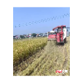 安仁县牌楼乡:禁烧秸秆护蓝天 综合利用促振兴