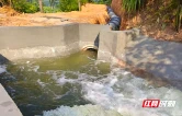 株洲市渌口区：“望天田”蜕变为丰产田丨清风同行 为民造福