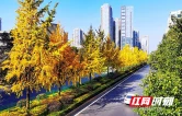 株洲市城管局传达学习市第十四次党代会精神