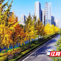 株洲市城管局传达学习市第十四次党代会精神
