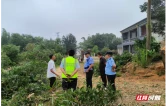 高速公路旁的绿化带能砍伐吗？答案是……
