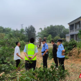 高速公路旁的绿化带能砍伐吗?答案是……