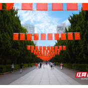 组图 | 满城“中国红”，花海迎客来！星城盛装喜迎八方客