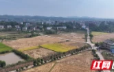 衡山县萱洲镇：推进秸秆综合利用 田间“废弃物”变废为宝