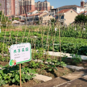 从乱烧到共治,临澧这波操作,绝了!