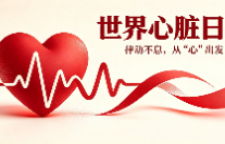 专题 | 世界心脏日：律动不息，从“心”出发