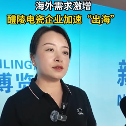 访谈丨华鑫电瓷王海利：海外需求激增，醴陵电瓷企业加速“出海”