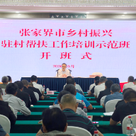 淬火砺剑强本领 实干笃行促振兴——张家界市乡村振兴驻村帮扶工作培训示范班开班