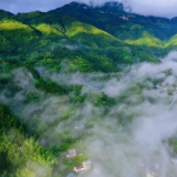 生态文学丨王敦权:大地把诗行铺满人间