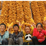 联合国粮农组织呼吁减少粮食损失和浪费