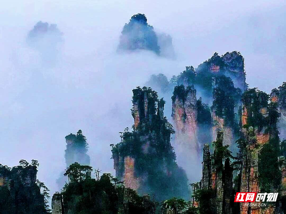 微信图片_20260930082021_635_4.jpg