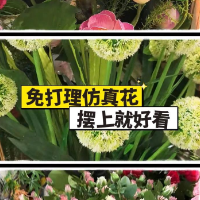 1分钟淘家丨免打理仿真花，摆上就好看