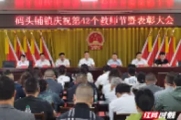 澧县码头铺镇：建强红色主阵地 激活治理新动能