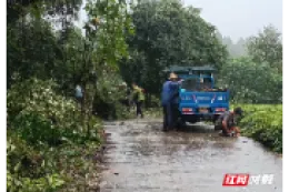 石门所街乡关上村：砍青除杂焕新颜 洁净家园迎接游子归