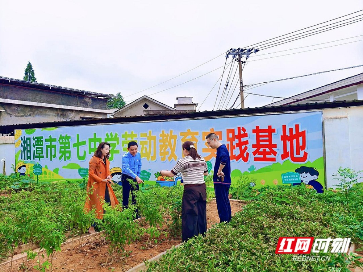 湘潭：名师工作室聚合力 思政引领一体化促育人