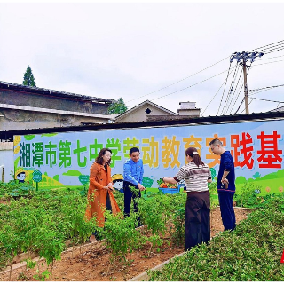 湘潭：名师工作室聚合力 思政引领一体化促育人
