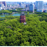 丹青绘华诞 株洲这场77㎡巨幅画卷创作活动邀您来打卡