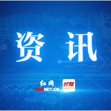 攸县:科研团队田间测产,两千余亩杂交制种提质增产