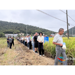 湘潭市中稻植保贡献率评价试验现场观摩交流活动走进湘乡