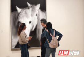 免费艺术假期：《马·相》首展+公益导览+市集，等你国庆打卡