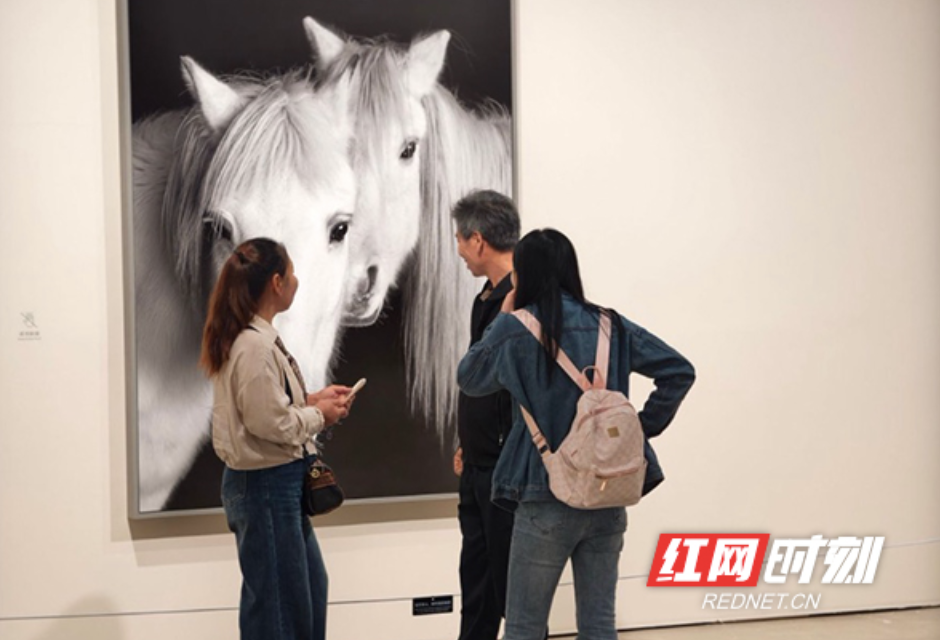 免费艺术假期:《马·相》首展+公益导览+市集,等你国庆打卡