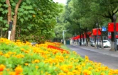 繁花盛景迎国庆 精细养护焕新容