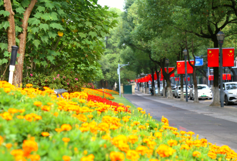 繁花盛景迎国庆 精细养护焕新容
