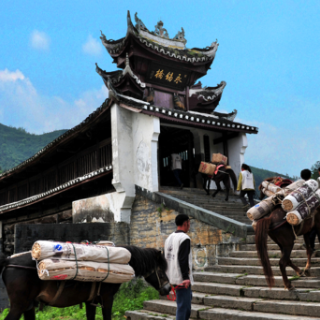 跟着非遗去旅行‌⑨丨国庆假期，邂逅益阳烟火风物