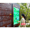 云端之上 一屏智守——莽山AI智慧导视终端重塑山岳公共文化服务