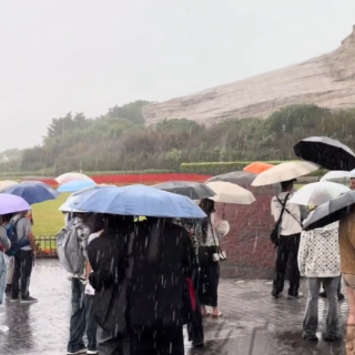 视频｜“速冻长沙”国庆游客分成两大阵营 冒雨打卡派VS酒店躺吃派
