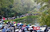 秋雨+大客流=？麓山景区：精细管控、暖心服务护航八方来客