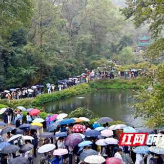 秋雨+大客流=？麓山景区：精细管控、暖心服务护航八方来客