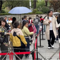 视频 | 长沙下雨不“收摊”：收伞入千年，开袋吃人间
